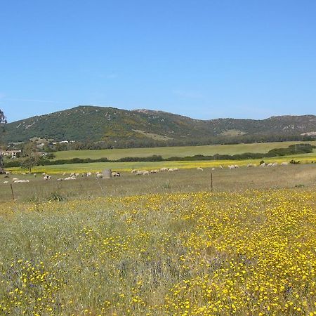 B&B Le Vele Teulada Exteriér fotografie